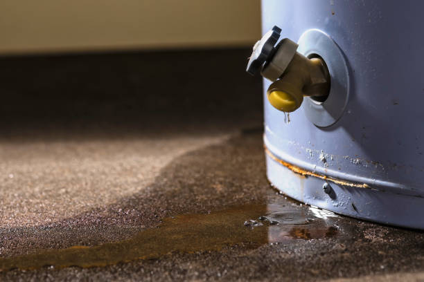 Best Water damage restoration insurance claims  in Erath, LA