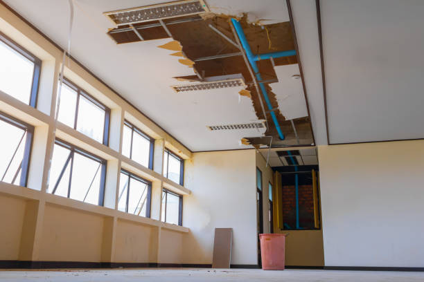 Best Water damage contractors near me  in Erath, LA