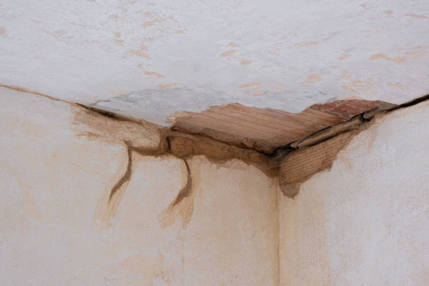 Local water damage restoration in Erath, LA