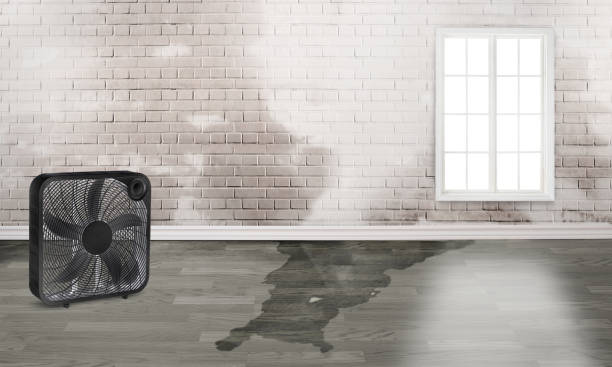 Best Fire Damage Restoration  in Erath, LA