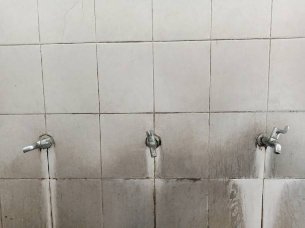 Best 24-hour water damage restoration  in Erath, LA