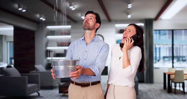 Best Mold removal after water damage  in Erath, LA
