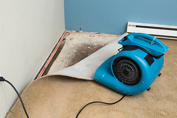 Best Fire Damage Restoration  in Erath, LA
